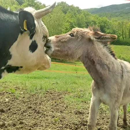 Campo Al Vento - Country Farm ヴィラ