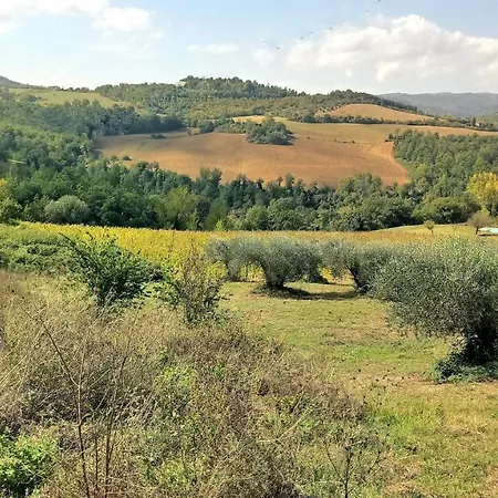 Campo Al Vento - Country Farm * Monte Castello di Vibio